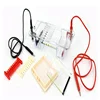 Agarose Gel DNA RNA or PCR Horizontal Electrophoresis Apparatus