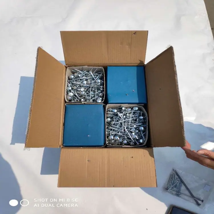 Galvanized Roofing Nails Bwg9x2.5" Packed With 50kg Or 100kg Bag Buy