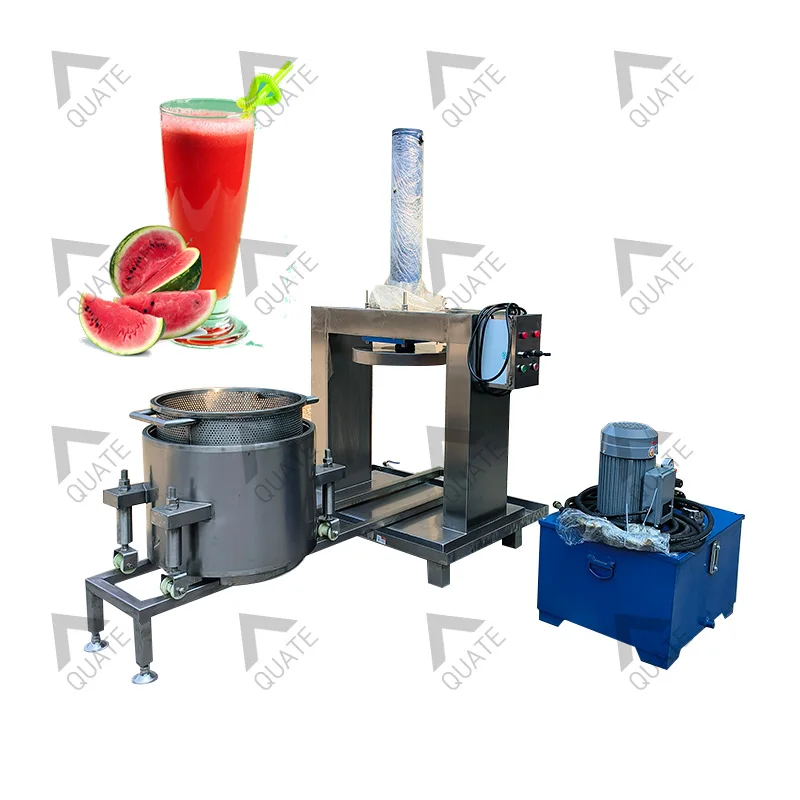 Cold Press Juicer Hydraulic Cold Press Lemon Orange Fruit Citrus Extractor Machine Hydraulic