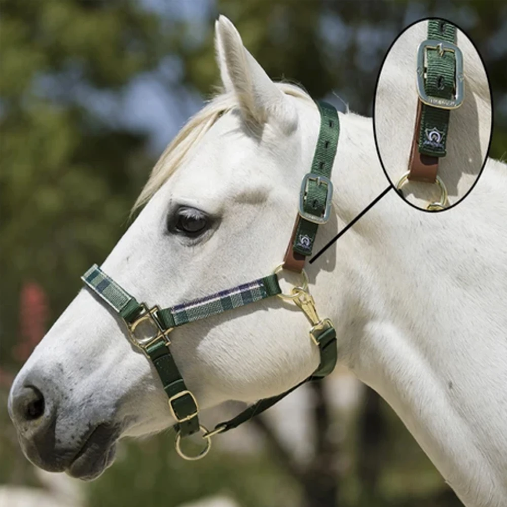 Factory Nylon Halter Horse Leather Trail Bridle Horse Harness Horse