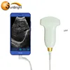 Cheap Price Android Type C Port 128 Elements home use Convex Probe USB Ultrasound Probe