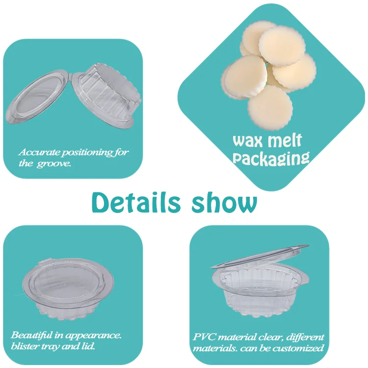 clamshell wax melts.jpg