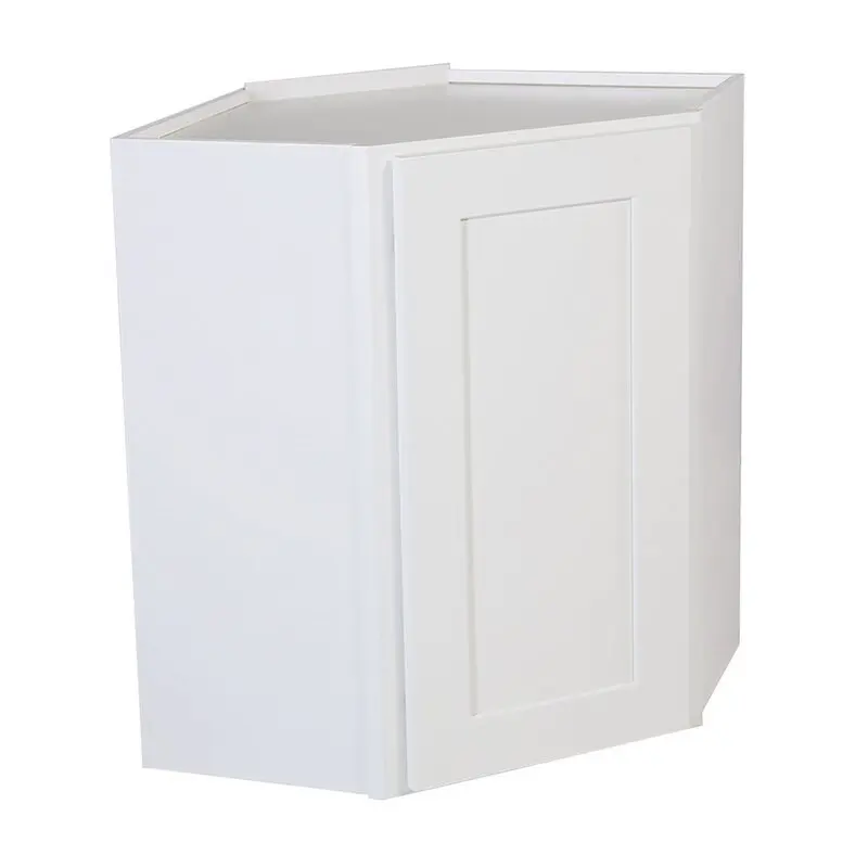 Frits Ready to Assemble 24 x 30 x 12 in Wall Cabinet Style 1-Door Corner in White