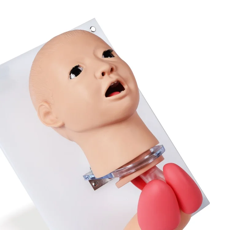 K Model Advance Child Endotracheal Intubation Model Tracheal Intubation 