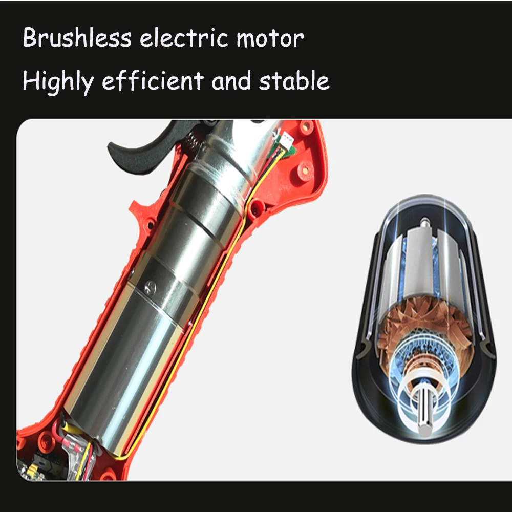 MOTOR.jpg