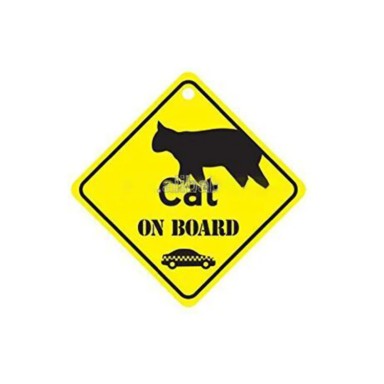 cat on board
