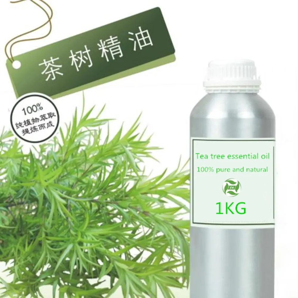 New Stock Fresh 100 Pure And Natural Tea Tree Essential Oil Bulk