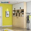 Bedroom furniture double bed special use hotel rooms Murphy bed folding wall bed