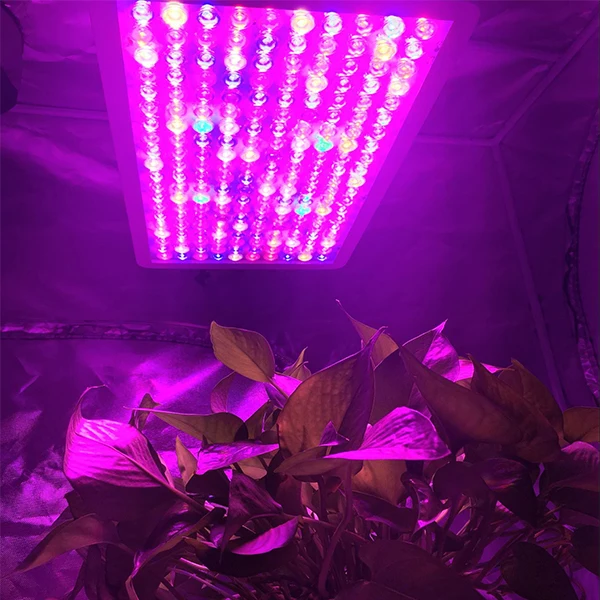 Hydroponic Growing Systems Lowes Led Grow Lights For
