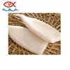 Frozen todarodes squid tube illex squid tube