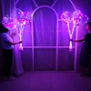 Manufacturer Festival Party Romantic Bobo Balloon LED with Lights and Stick