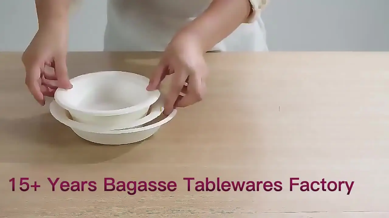 ZX Packing Biodegradable Packing - Sugarcane Bagasse Plates