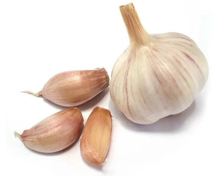 garlic price.jpg