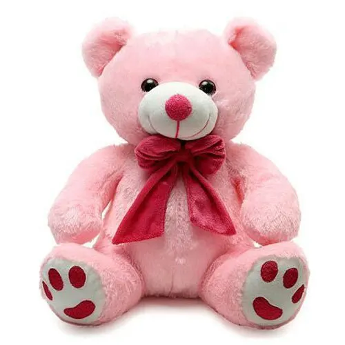 pink plush bear