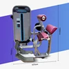 Gym Use Commercial Fitness Equipment / Back Extension S