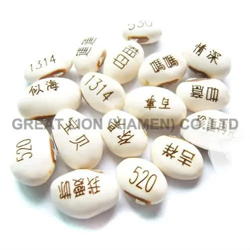 white magic beans 06.jpg