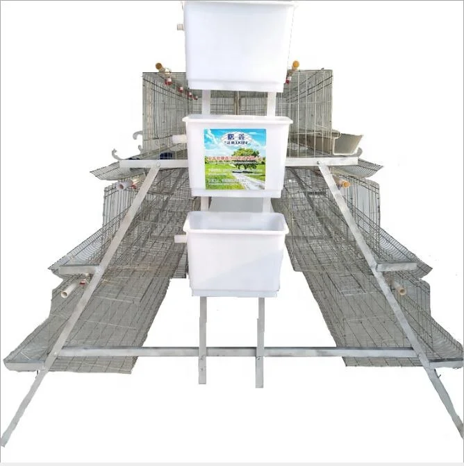 chicken cage.jpg