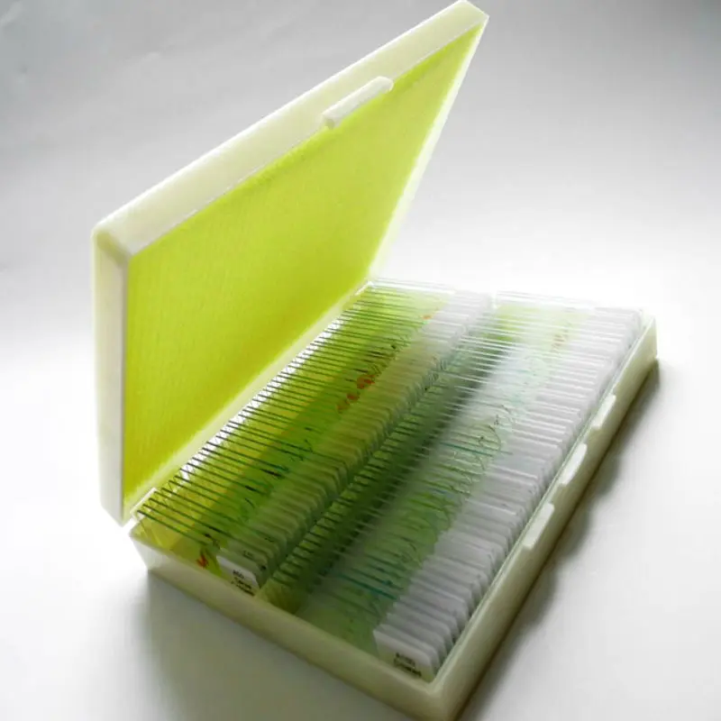 Customization Fixed 100pcs Premade Microscope Slides Medical Teaching For Lab