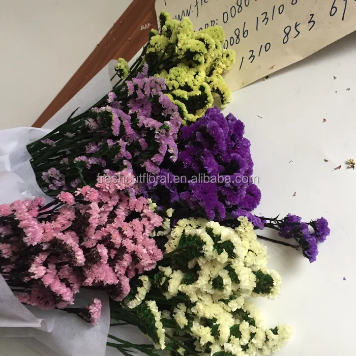 来自中国花卉农场的天然forget Me Not 花全年可用 Buy Forget Me Not 花 中国花卉农场 Bunches 中的小花product On Alibaba Com