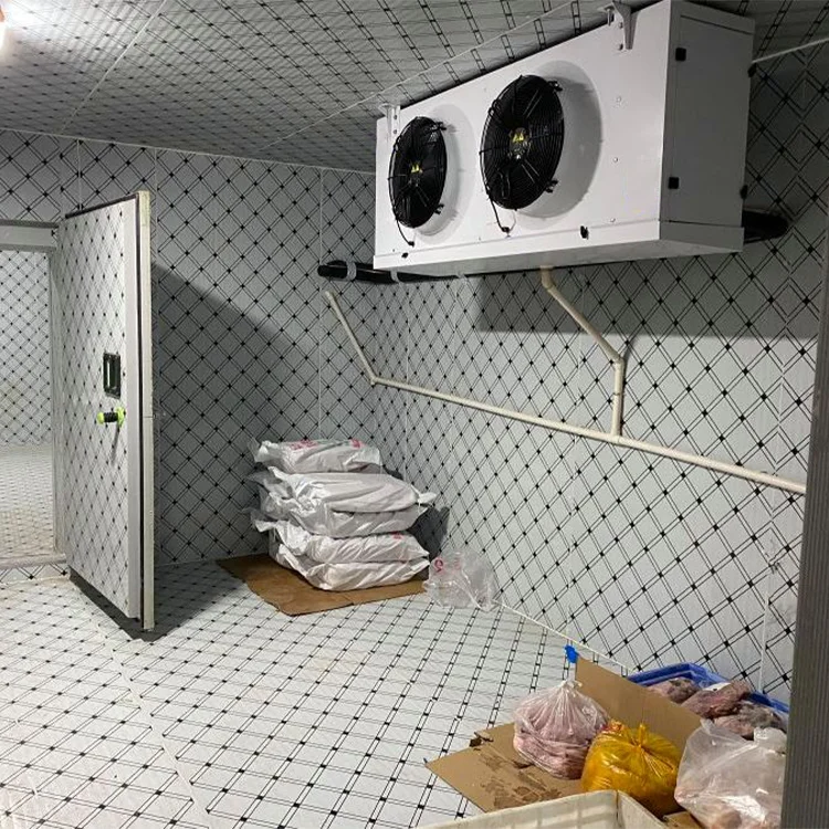 Blast Freezer, 220V - detail 6