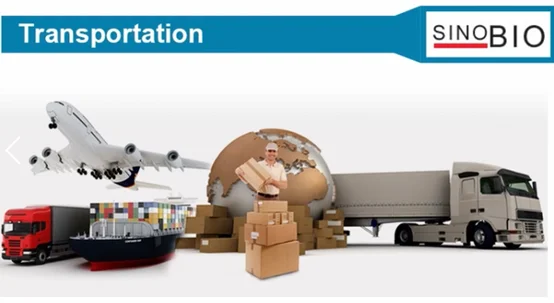 paste-pic-dp_uuid_3axfu