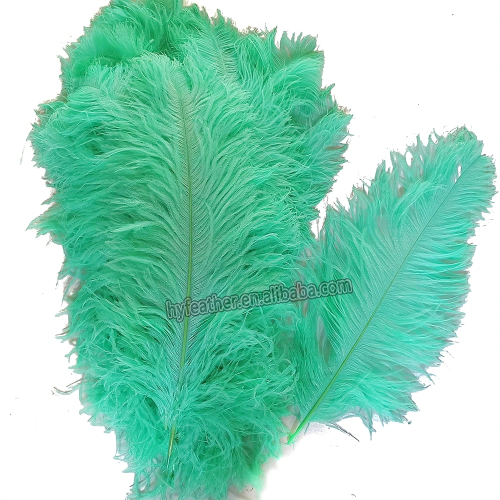 White Ostrich Wing Plumes Feather Ostrich Feather Sprime Femina Ostrich