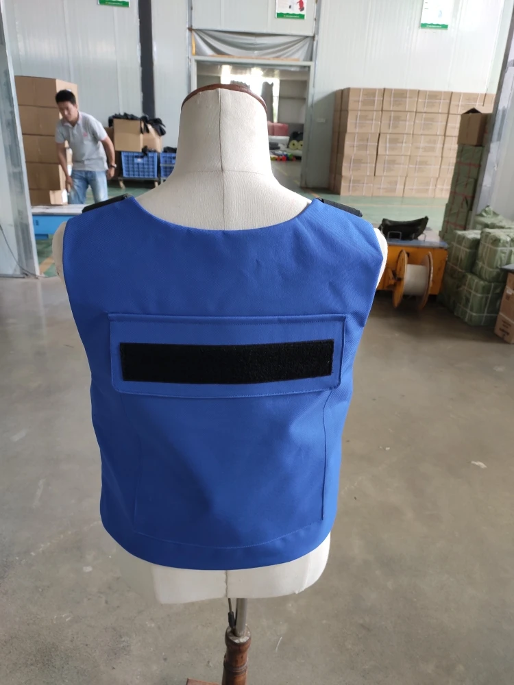 Blue Color Vest Back.jpg