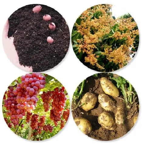 buy 硝酸镁六水合物水溶性,硝酸镁农业肥料,硝酸镁制造商 product