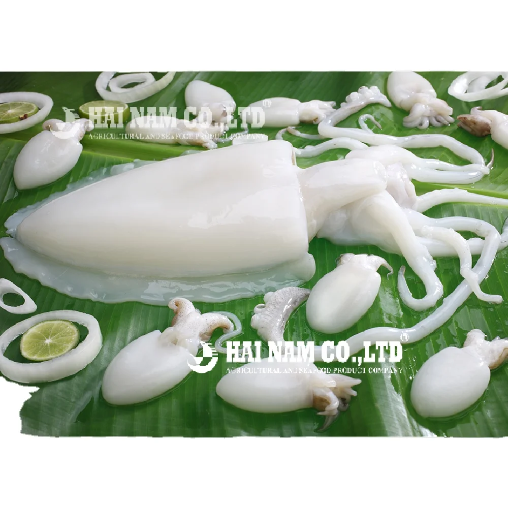 
2 years Shelf Life Frozen Cuttlefish Whole round with HACCP Certification from Vietnam company 