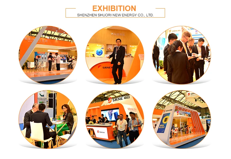 srne 2KW 3KW 4KW 5KW hybrid solar inverter with mppt charge controller