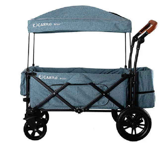 carro stroller wagon