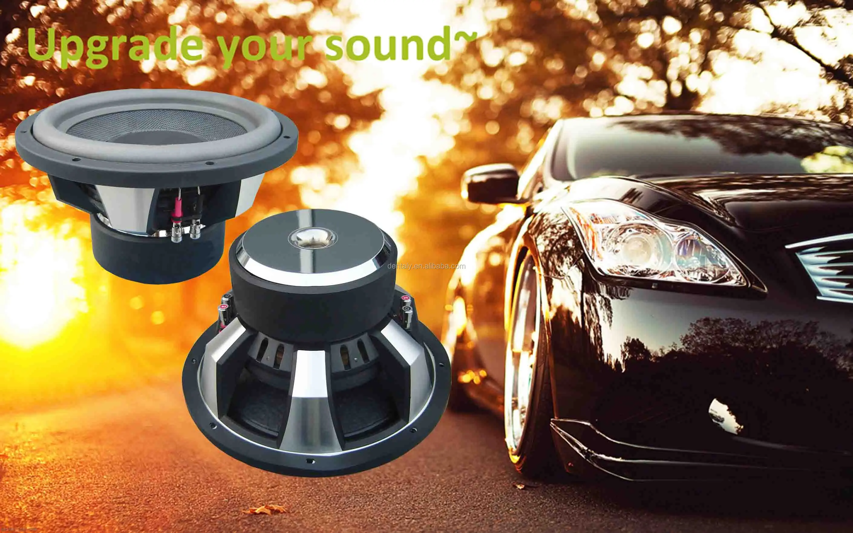 10inch 12 Inch Spl Competition Car Sound Double Subwoofers
