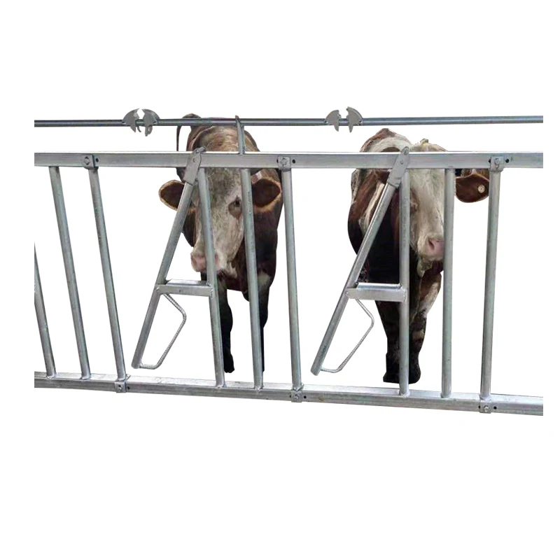Hot Galvanized Steel Cow Head Lock Cattle Head Lock For Dairy Farm Buy Cow Head Lock,Cow Feed