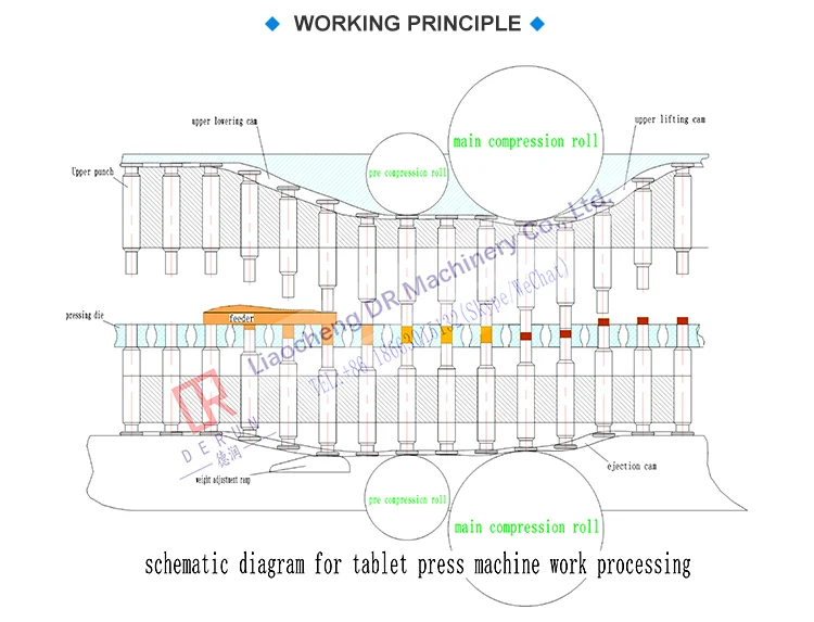 Effervescent Pharmaceutical Pill Making R&d Type Automatic Tablet Press Machine