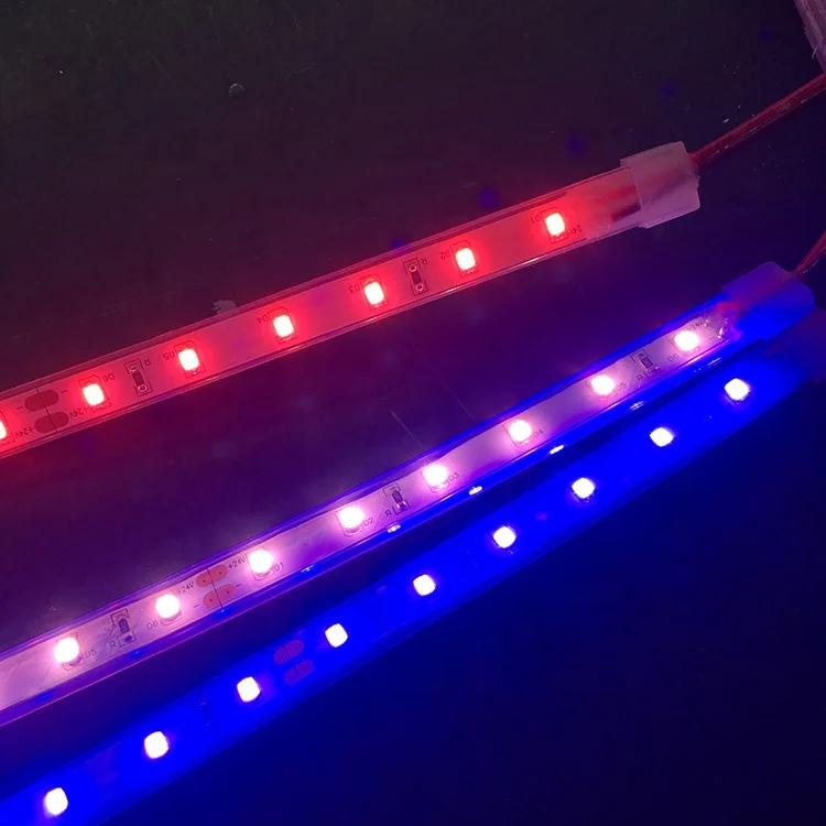 waterproof 10m dc 12 volt 24v led red and blue plant grow light strips lighting led strip