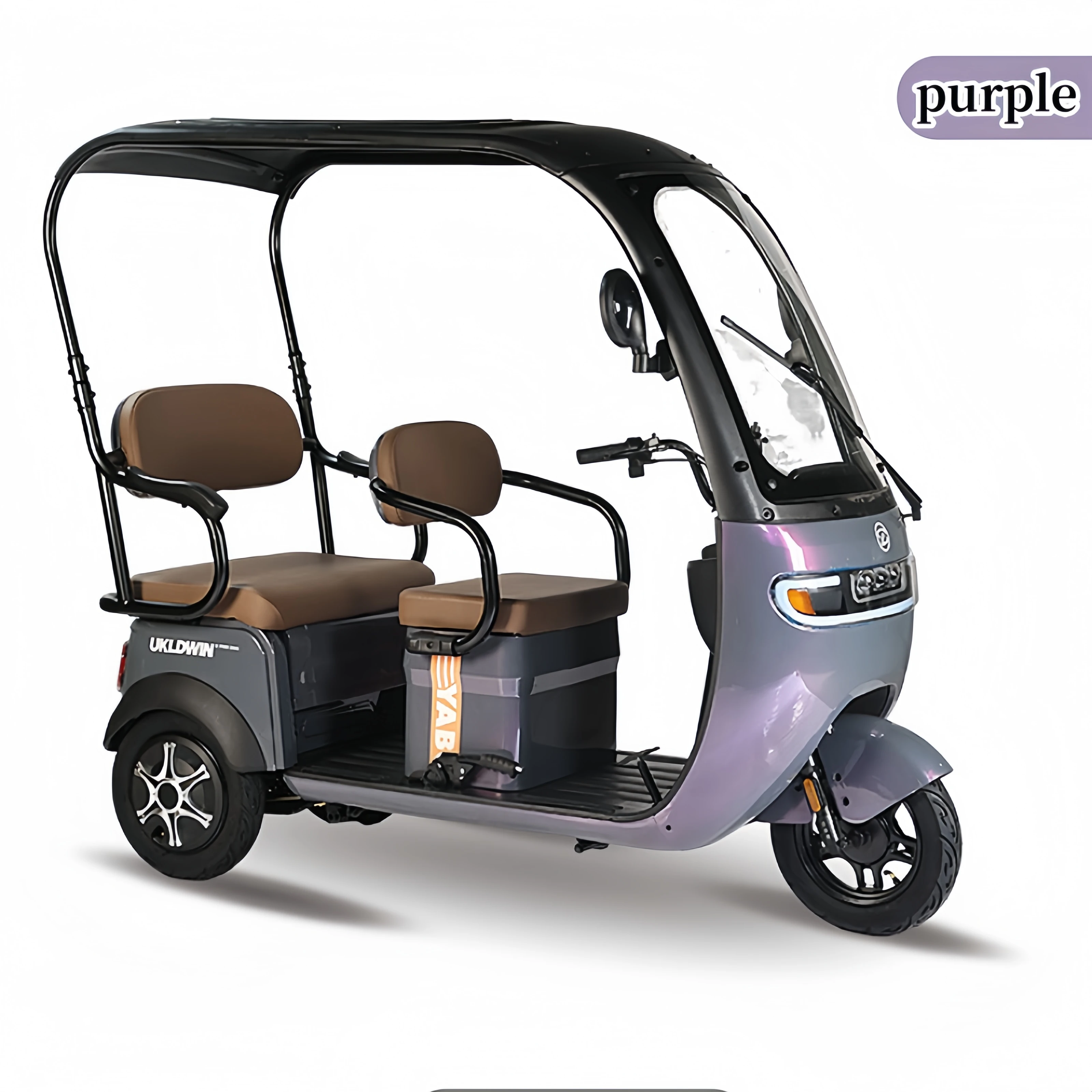 Mini New Energy Electric Rickshaws EEC Certified 48v/72v Passenger ...