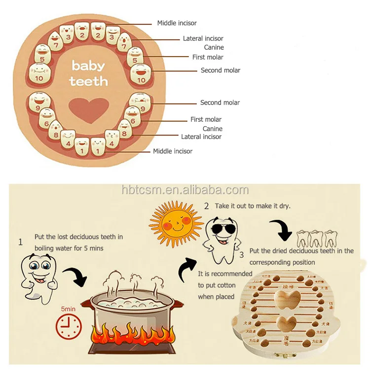 wood baby teeth box