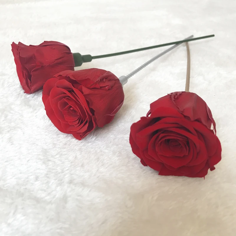 Amazon Plastic Stems 20cm Artificial Flower Stems For Acrylic Box