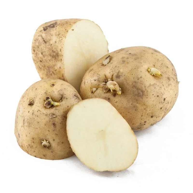 
Mexico Grown Fresh Vegetables POTATO WHITE Robinson Fresh MOQ 50 LBS Quick Delivery in US 
