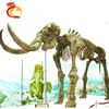 High quality museum dinosaur bone fossil sculpture model fossil for sell