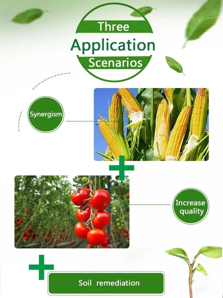 npk fertilizer 20 20 20