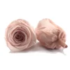 Factory Supply Wholesale 70 colors 5-6 cm Real Natural Eternal Forever Immortal Preserved Flower Roses