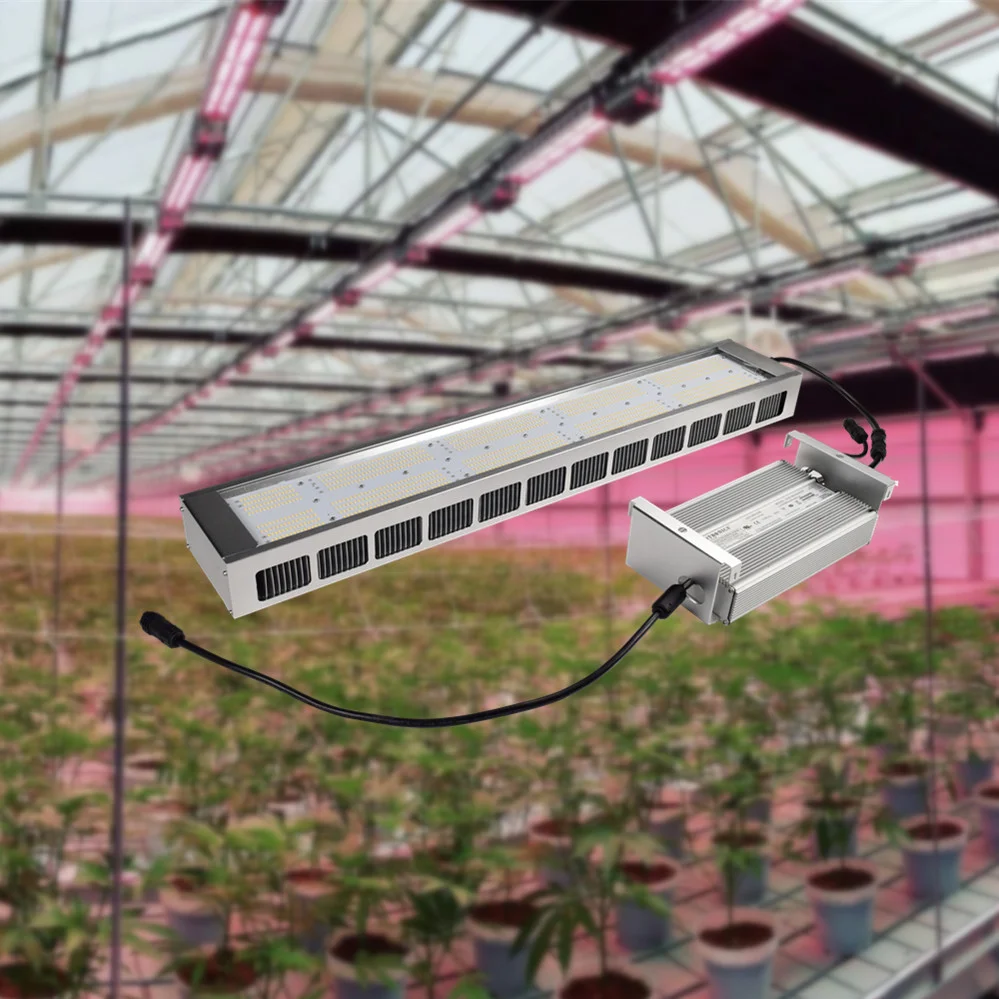Samsung LED grow light 301h with waterproof strip designed for the grow plants greenhouse