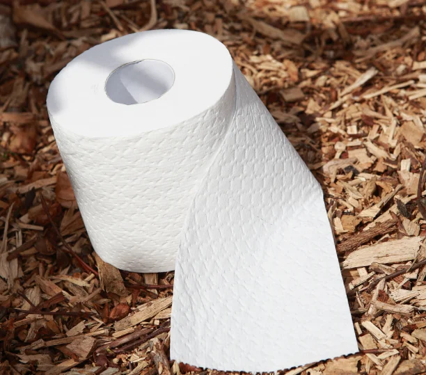 Standard Size Raw Material 3ply Toilet Tissue Paper Buy Standard Size
