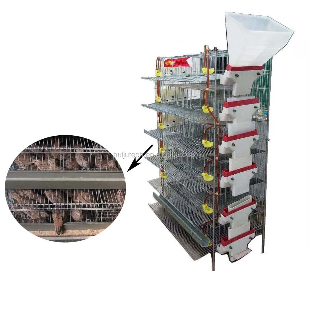 Automatic Egg Collecting Quail Cage For 250300 Quails With All Spare
