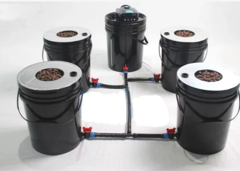 Complete Dwc System For Weed Growing 5 Gallon Bucket Hydroponics For