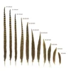 Wholesale Cheap Ringneck pheasant tail feathers price