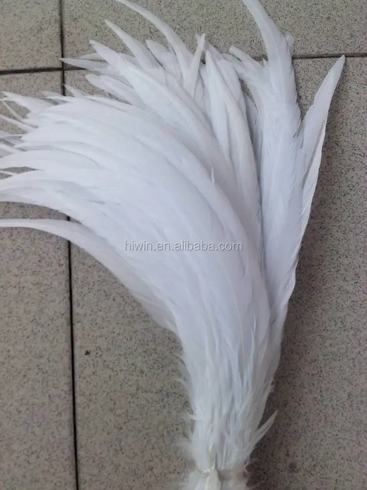 white cock.jpg