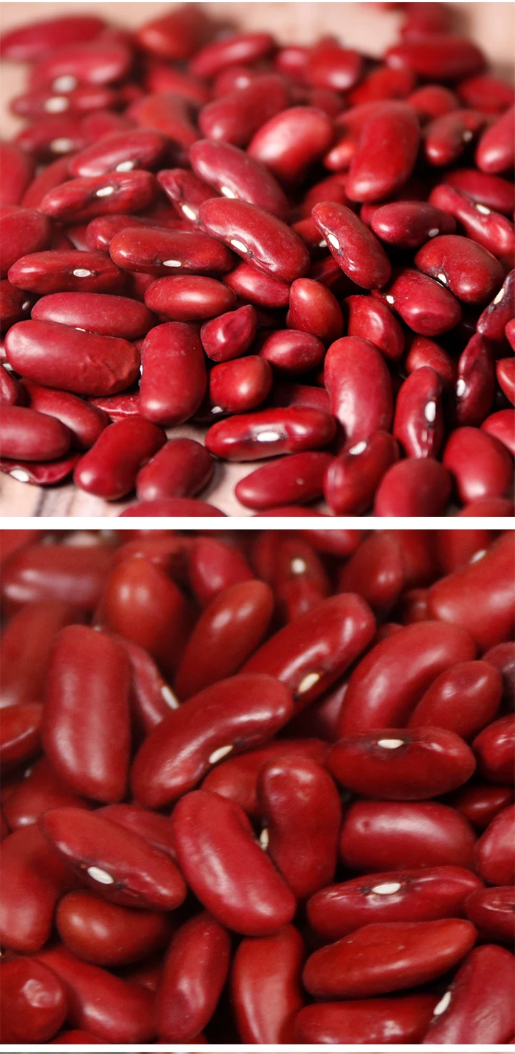 High Quality Bulk Dried Dark Red Kidney Beans For Sale