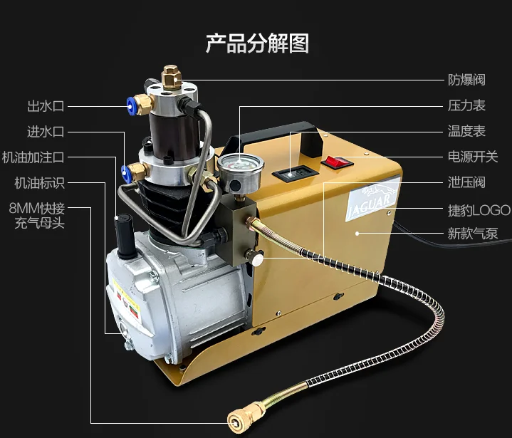 Pcp Air Compressor 4500 Psi High Pressure 310 Bar 220 V/110 V Auto Stop